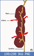 Cliquez sur l'image pour la voir en taille relle

Nom : sans-titre1.png
Affichages : 1015
Taille : 9,4 Ko
ID : 100009