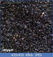 Cliquez sur l'image pour la voir en taille relle

Nom : graines-de-niger-4-kg-versele-laga-31-150x150.jpg
Affichages : 388
Taille : 49,5 Ko
ID : 121757