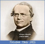 Cliquez sur l'image pour la voir en taille relle

Nom : 3-gregor-mendel-father-of-genetics-science-source.jpg
Affichages : 666
Taille : 78,9 Ko
ID : 100144