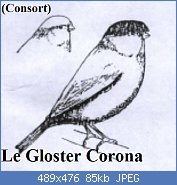 Cliquez sur l'image pour la voir en taille relle

Nom : glostercorona.jpg
Affichages : 831
Taille : 85,2 Ko
ID : 41141