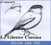 Cliquez sur l'image pour la voir en taille relle

Nom : glostercorona.jpg
Affichages : 1173
Taille : 13,4 Ko
ID : 65539