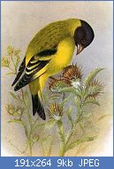 Cliquez sur l'image pour la voir en taille relle

Nom : carduelis notata.jpg
Affichages : 1659
Taille : 9,0 Ko
ID : 73323