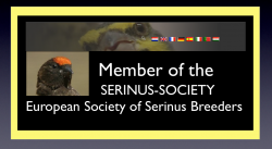 Avatar de SERINUS