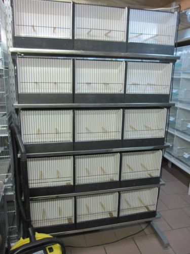 piece_elevage_9_novembre_2010_9.jpg