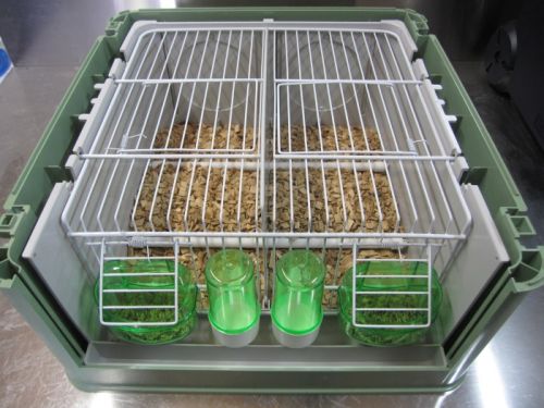 valise_transport_2gr_6.jpg